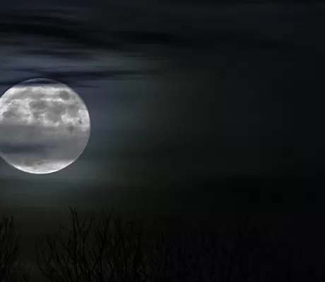Best Horror Books for Teens